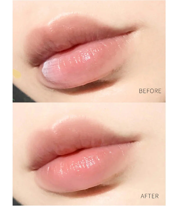 8/6/4/1Pcs Lip Balm Moisturizing Lipstick Natural Plant Anti-Cracking Lip Care Base Moisturizer Makeup Jelly Lip Balm New