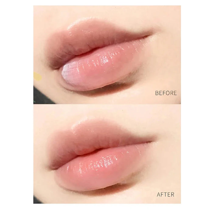 4/6/8  Moisturizing Lip Balm Sets Lipstick New Transparent Natural Plant Base Moisturizer Lip Balm Anti-cracking Lips Skin Care